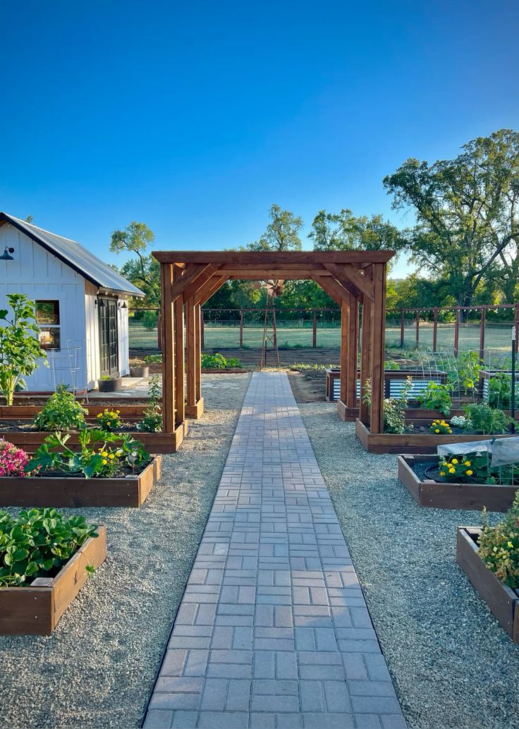 Person gardening outdoors, planting seedlings